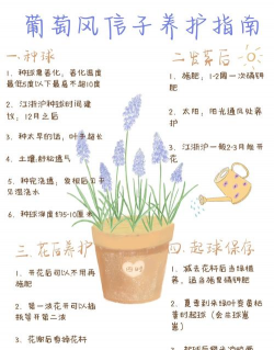 小众送妈妈的花有哪些花