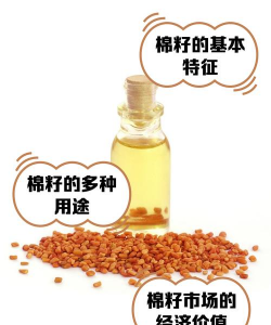 存在于棉籽中的植物性毒素为