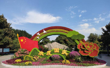 小众送妈妈的花有哪些花