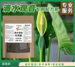 小众送妈妈的花有哪些花