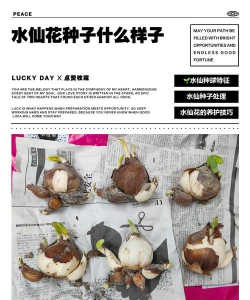 小众送妈妈的花有哪些花