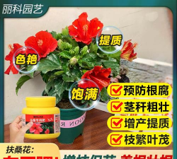 小众送妈妈的花有哪些花