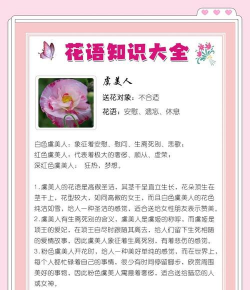 小众送妈妈的花有哪些花