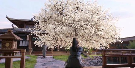 小众送妈妈的花有哪些花