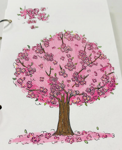 小众送妈妈的花有哪些花