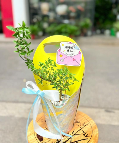 小众送妈妈的花有哪些花