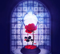 小众送妈妈的花有哪些花