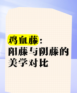 鸡血藤阴阳藤有什么区别