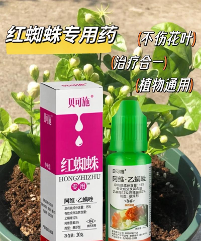 花卉红蜘蛛用什么药