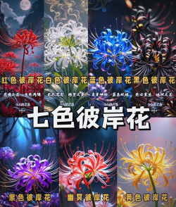 小众送妈妈的花有哪些花