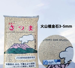 小众送妈妈的花有哪些花