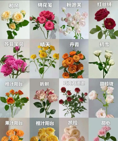 小众送妈妈的花有哪些花