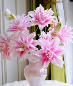 小众送妈妈的花有哪些花