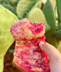 小众送妈妈的花有哪些花