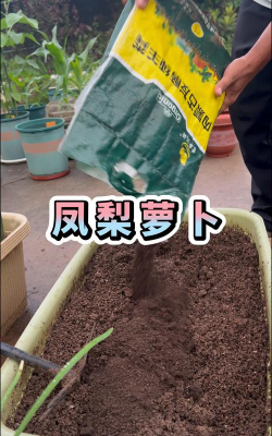 小众送妈妈的花有哪些花