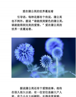 小众送妈妈的花有哪些花