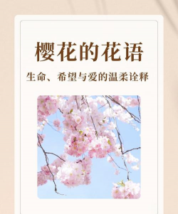 樱花的花语