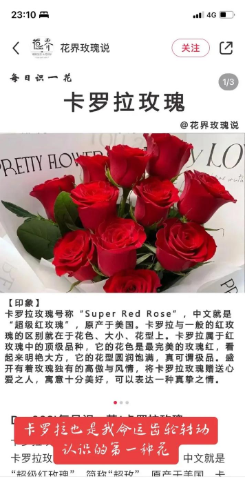 小众送妈妈的花有哪些花