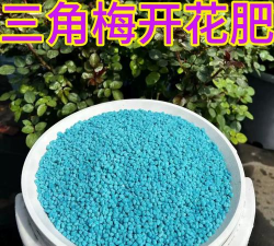 小众送妈妈的花有哪些花