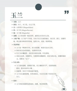 小众送妈妈的花有哪些花