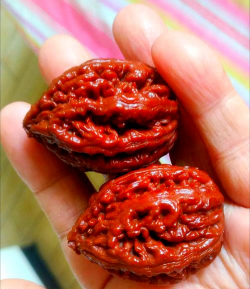 小众送妈妈的花有哪些花