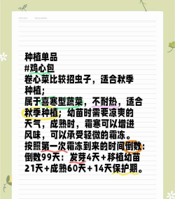 小众送妈妈的花有哪些花