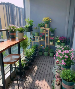 小众送妈妈的花有哪些花