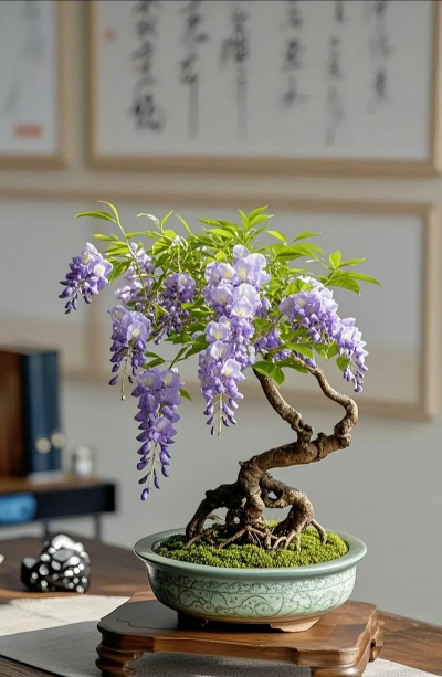 小众送妈妈的花有哪些花