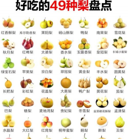 小众送妈妈的花有哪些花