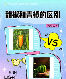甜椒和青椒的区别