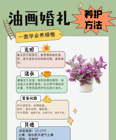 小众送妈妈的花有哪些花