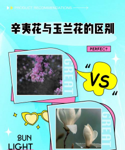 辛夷花和玉兰花的区别