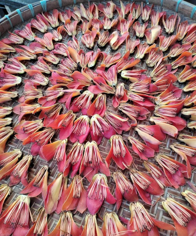 小众送妈妈的花有哪些花