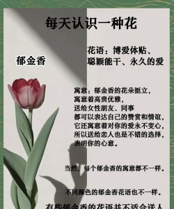 小众送妈妈的花有哪些花