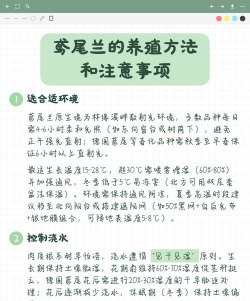 小众送妈妈的花有哪些花