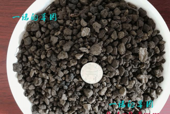 小众送妈妈的花有哪些花