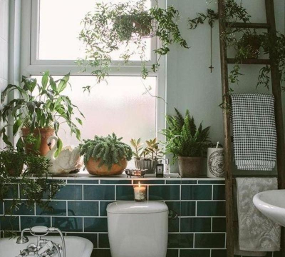 小众送妈妈的花有哪些花