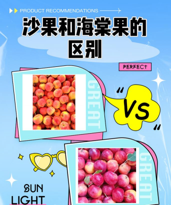 沙果和海棠果的区别