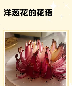 小众送妈妈的花有哪些花