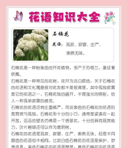 小众送妈妈的花有哪些花
