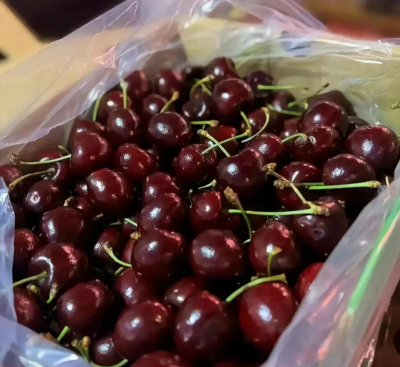 小众送妈妈的花有哪些花