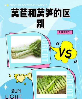 莴苣和莴笋的区别