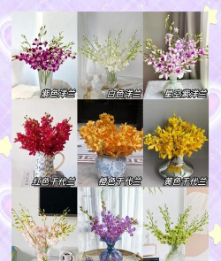 小众送妈妈的花有哪些花