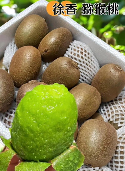 徐香猕猴桃几月份成熟