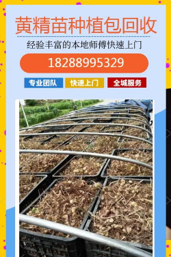 威灵仙怎么种植