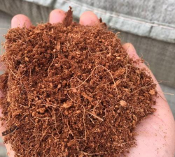 小众送妈妈的花有哪些花