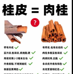 肉桂是桂皮吗