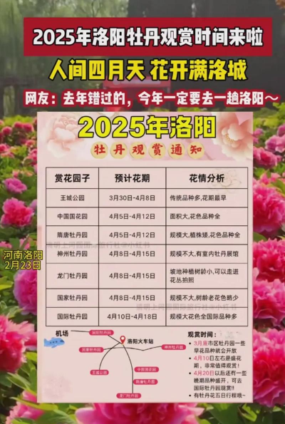 洛阳牡丹节是什么时候
