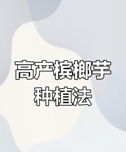 槟榔芋怎么种植