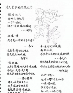 小众送妈妈的花有哪些花